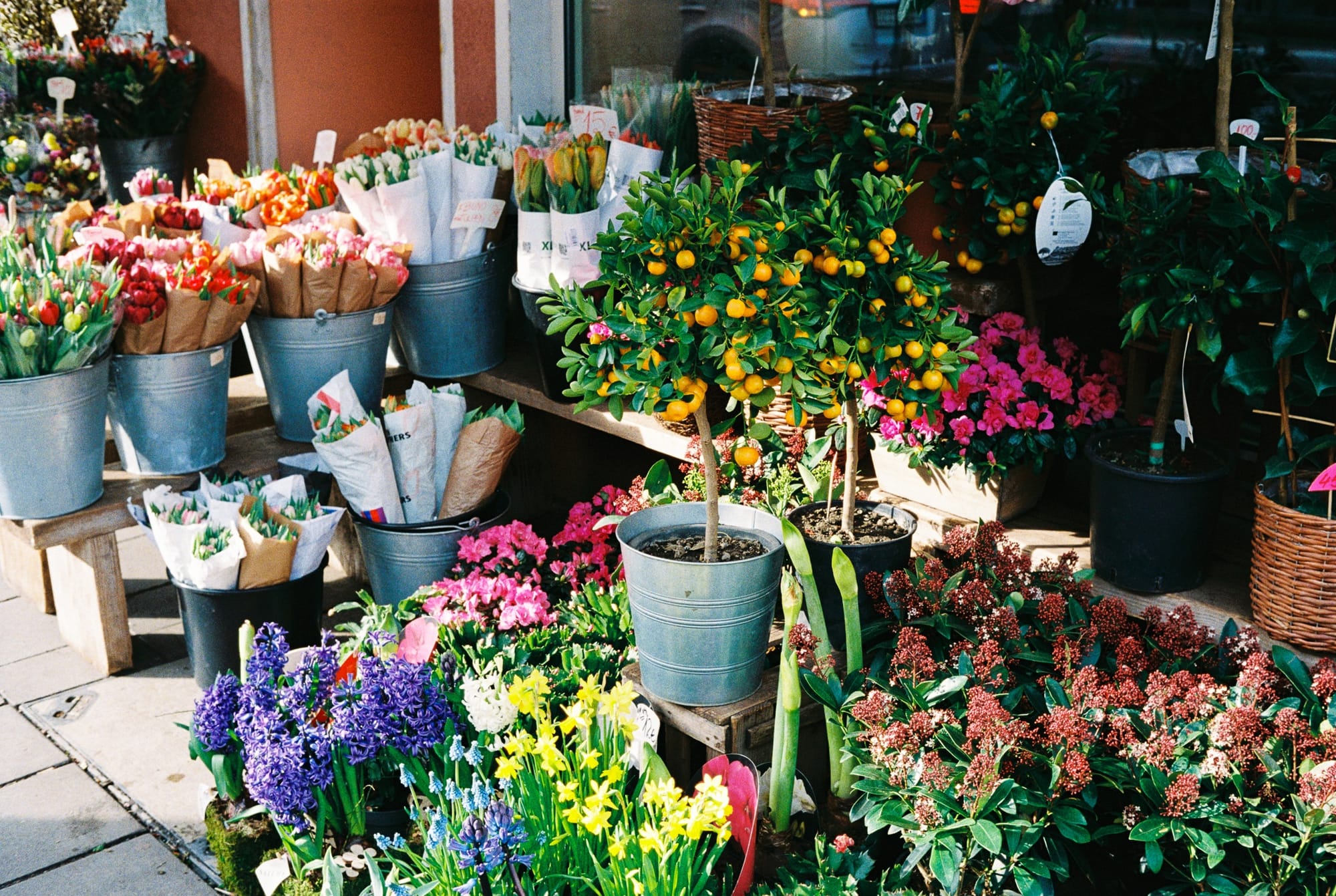 Март на плёнку: Leica M2 и Kodak Ultra Max 400